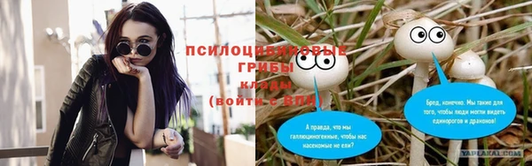 экстази Карпинск