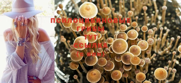 экстази Карталы