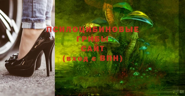 экстази Карпинск