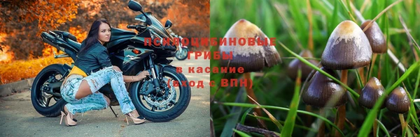 экстази Карпинск