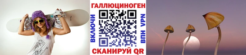 купить наркотик  Фокино  Галлюциногенные грибы MAGIC MUSHROOMS 