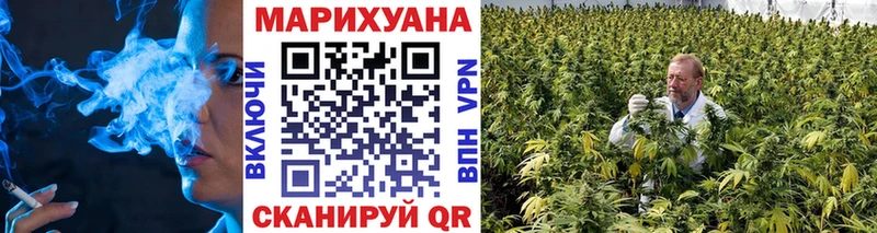 Марихуана Bruce Banner  купить  цена  Фокино 